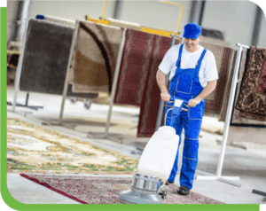 Rug Cleaning