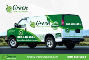 Carpet Cleaner