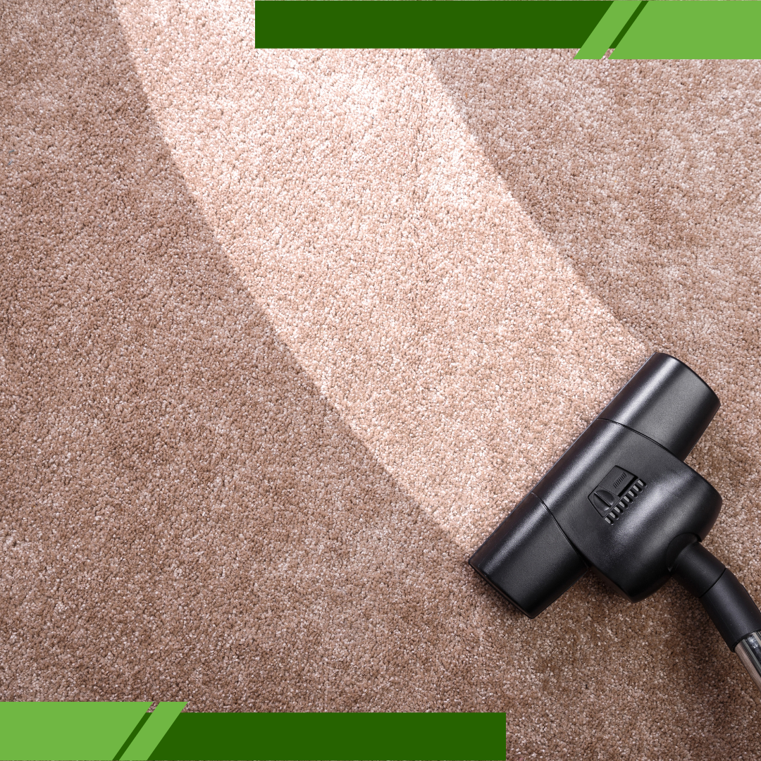 Professional Carpet Cleaning