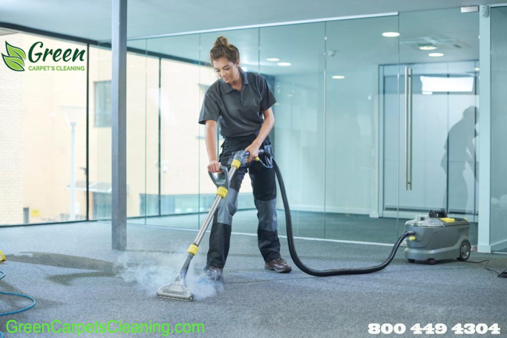 Same Day Carpet Cleaning Canoga Park​