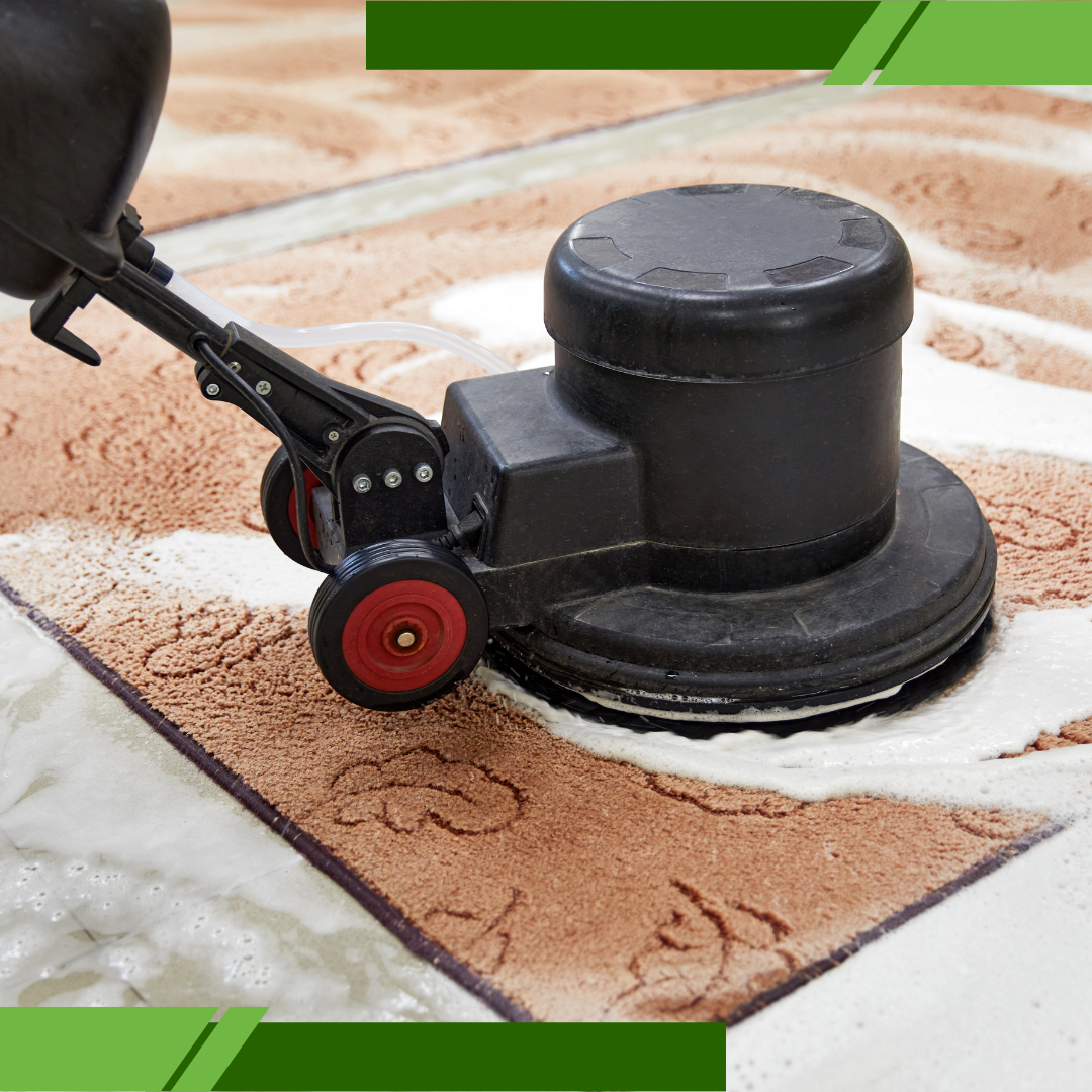 same day rug cleaning