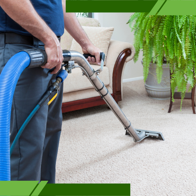 Best Carpet Cleaning Services in Malibu