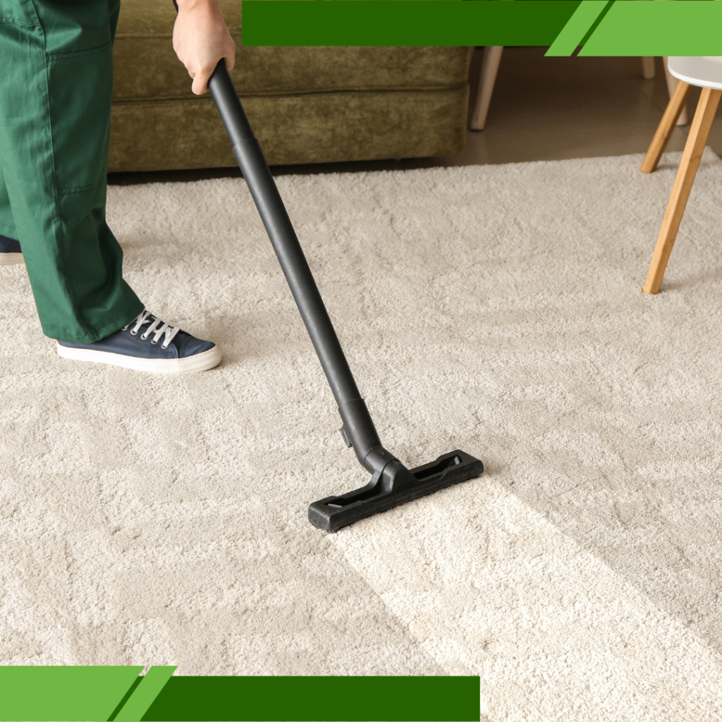 professional carpet cleaning