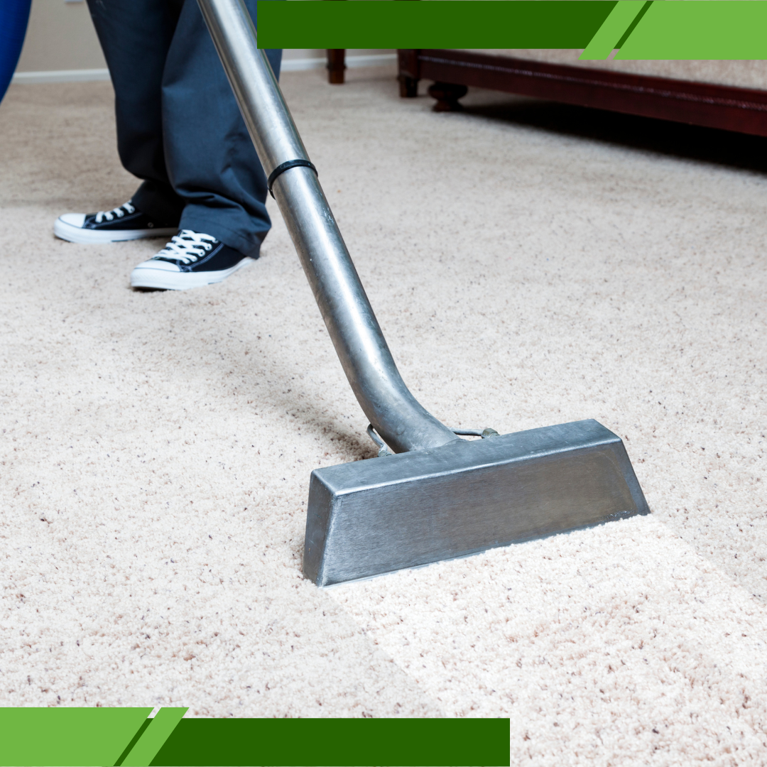 regular carpet cleaning