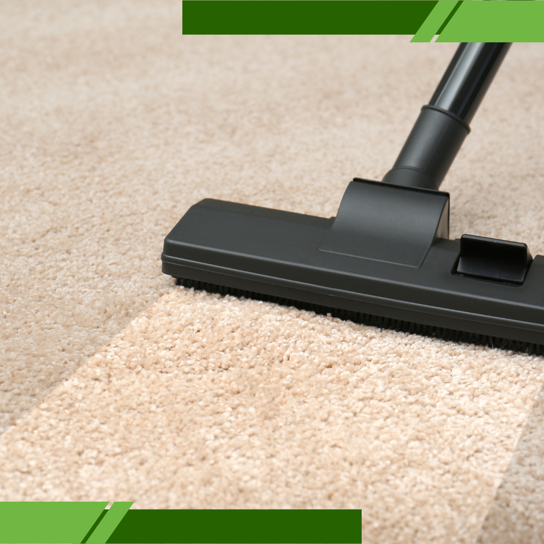 remove carpet mold