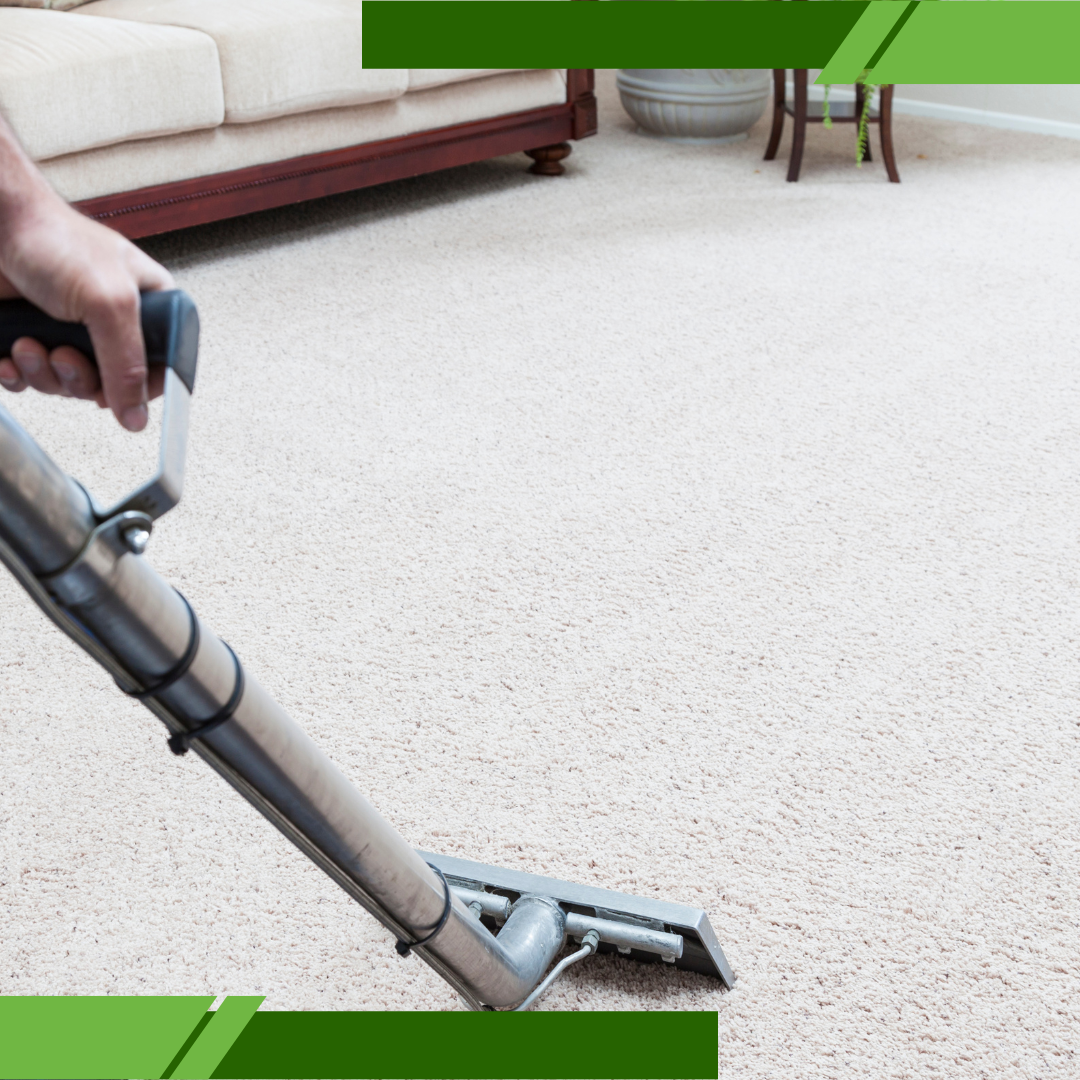steam carpet cleaning